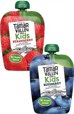 Coles Tamar Valley Dairy Kids Greek Style Yoghurt Pouch 110g offer