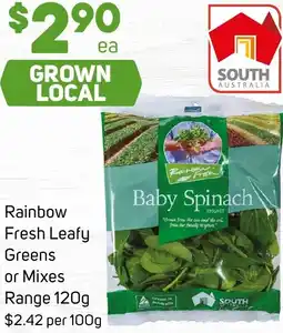 Foodland Rainbow Fresh Leafy Greens or Mixes Range offer