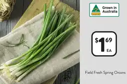 Foodworks Field Fresh Spring Onions offer