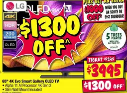 JB Hi-Fi 65" 4K Evo Smart Gallery OLED TV offer