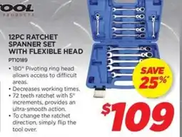 12PC RATCHET SPANNER SE WITH FLEXIBLE HEAD