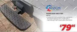 Auto One MASON NUDGE BAR AND STEP offer
