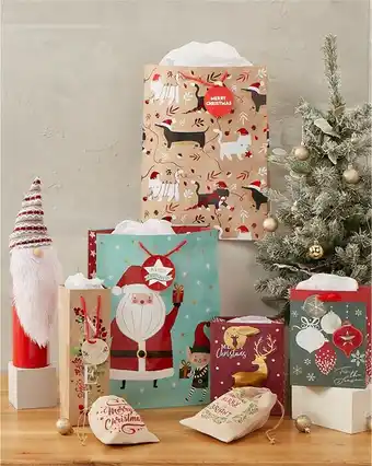BIG W Assorted Christmas Bags offer