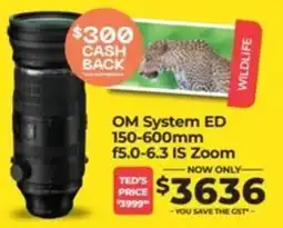 Teds Cameras OM System ED 150-600mm f5.0-6.3 IS Zoom offer