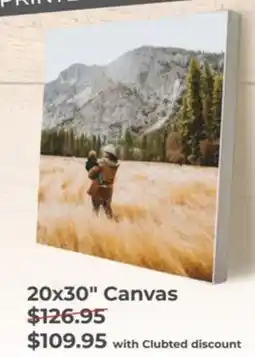 Teds Cameras 20x30" Canvas offer