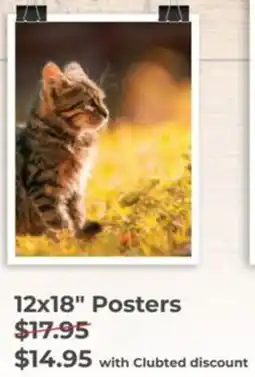 Teds Cameras 12x18" Posters offer
