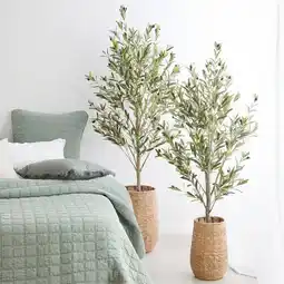 Pillow Talk Tuscan Olive Tree by M.U.S.E offer