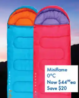 BCF Wanderer polyester sleeping bags offer