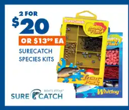 BCF Surecatch Species Kits offer