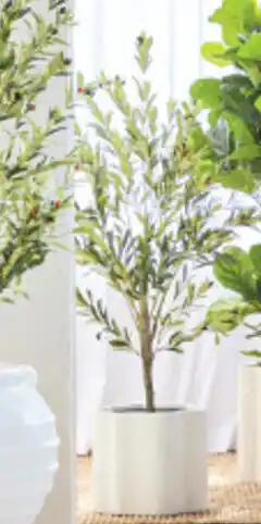 Pillow Talk Marlo Wave Planter L offer
