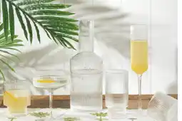 Pillow Talk Mila Tumbler & Highball offer