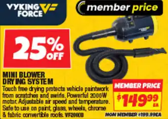 Autobarn Mini blower drying system offer