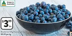 Foodworks Blueberries Punnet offer