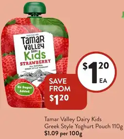 Foodworks Tamar Valley Dairy Kids Greek Style Yoghurt Pouch offer