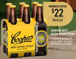 Dan Murphy's Coopers Best Extra Stout offer