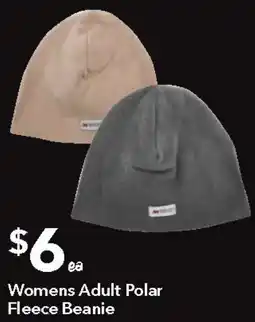 Ritchies Womens Adult Polar Fleece Beanie offer