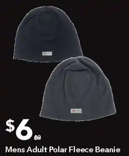 Ritchies Mens Adult Polar Fleece Beanie offer