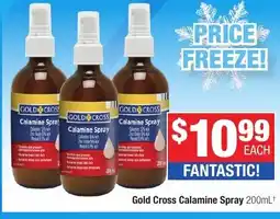Direct Chemist Outlet Gold Cross Calamine Spray offer