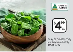 Foodworks Dicky Bill Salad Mix and Baby Spinach offer