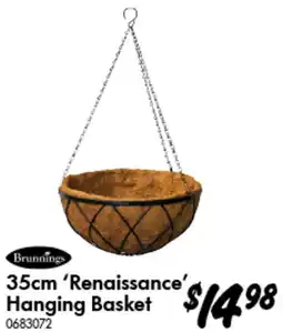 Bunnings Renaissance Hanging Basket offer