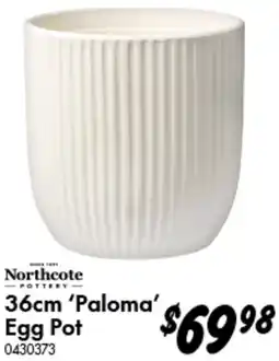 Bunnings Northcote Paloma Egg Pot offer
