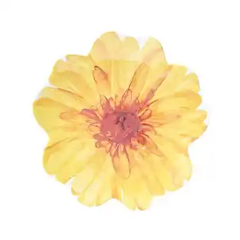 Soren fields of flowers flower plate