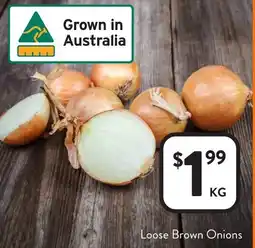 Foodworks Loose Brown Onions offer