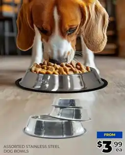 Prices Plus Assorted stainless steel dog bowls offer
