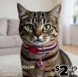 Prices Plus Cat collar with bell offer