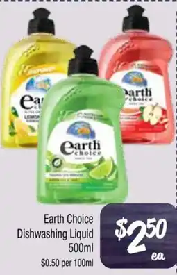 Earth choice dishwashing liquid