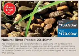 Natural River Pebble