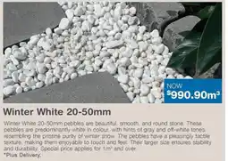 Nuway Winter White offer