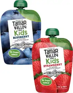 Coles Tamar Valley Dairy Kids Greek Style Yoghurt Pouch 110g offer