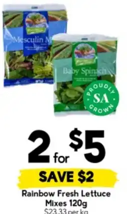 Drakes Rainbow Fresh Lettuce Mixes offer
