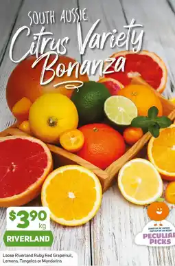 Foodland Loose Riverland Ruby Red Grapefruit, Lemons, Tangelos or Mandarins offer