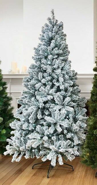 Myer Myer Giftorium Arrow Pine Flocked Trees offer