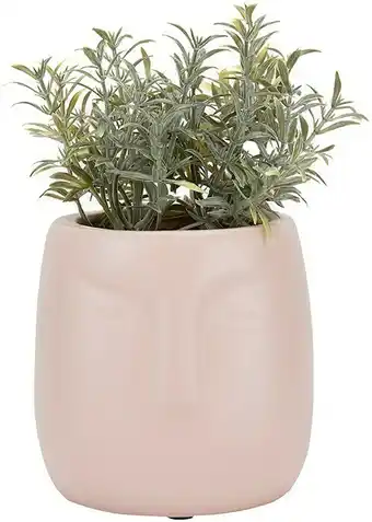 Kmart Artificial Face Planter offer