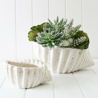 Pillow Talk Conch Bowl by M.U.S.E. offer