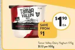 Foodworks Tamar Valley Dairy Yoghurt offer