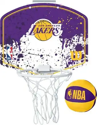 Wilson Team Mini Basketball Hoop
