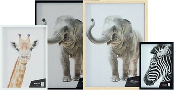 Sahara Poster Frames
