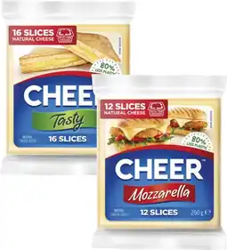 Coles Cheer Cheese Slices Refill 250g offer