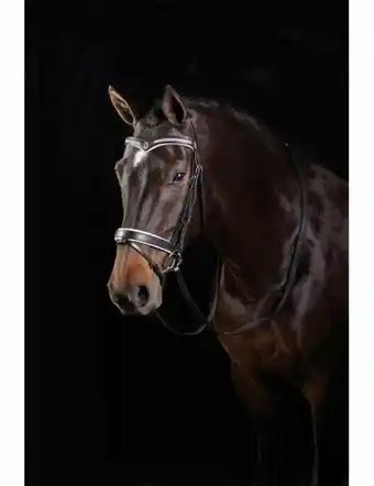 Horseland Collegiate V Shaped Diamante Bridle offer