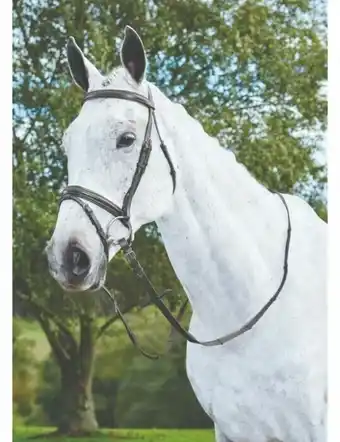 Kincade Flash Bridle III - Black
