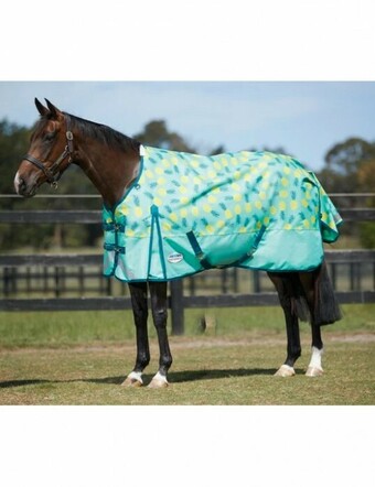 Horseland WeatherBeeta ComFiTec Plus Dynamic II Standard Neck Lite offer