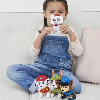 Toymate Paw Patrol Mini Plush offer