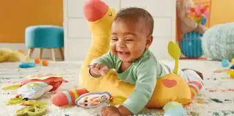 Toymate Fisher-Price Go Wild Gym & Giraffe Wedge offer