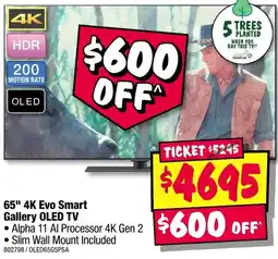 JB Hi-Fi 65" 4K Evo Smart Gallery OLED TV offer