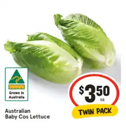 IGA Australian Baby Cos Lettuce offer