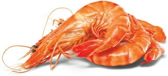 Woolworths Fresh Medium Australian Cooked Tiger Prawns offer